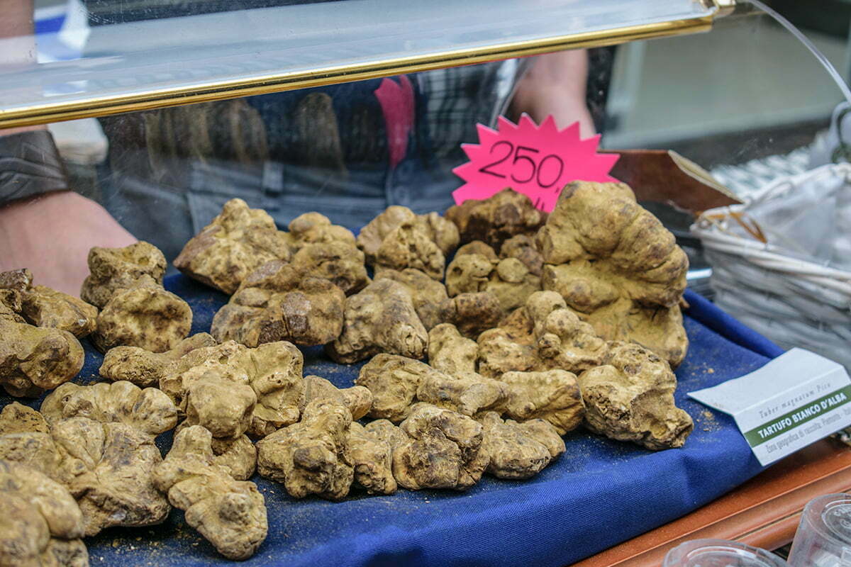 Tutti i segreti del tartufo bianco d'Alba