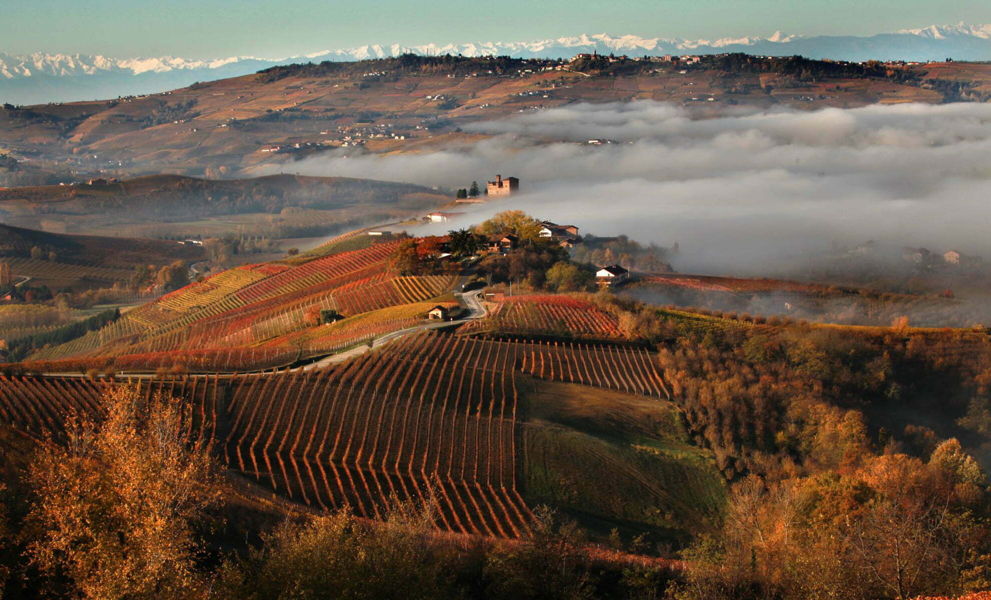 Re-dei-vini-e-vino-dei-re,-ecco-il-Barolo!