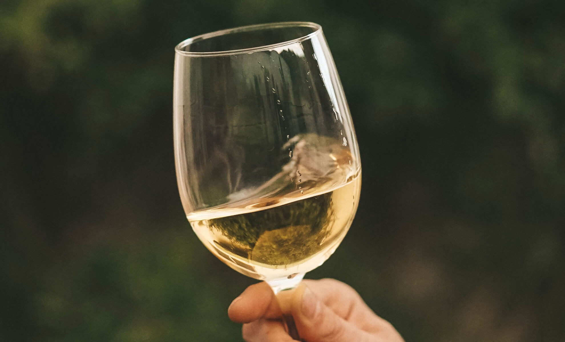 Weißweine Weißweine