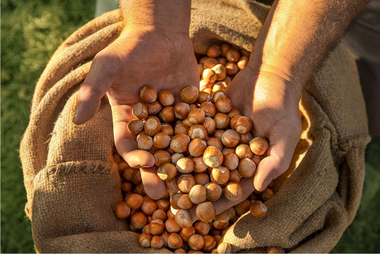 Altalanga Azienda Agricola Altalanga Azienda Agricola