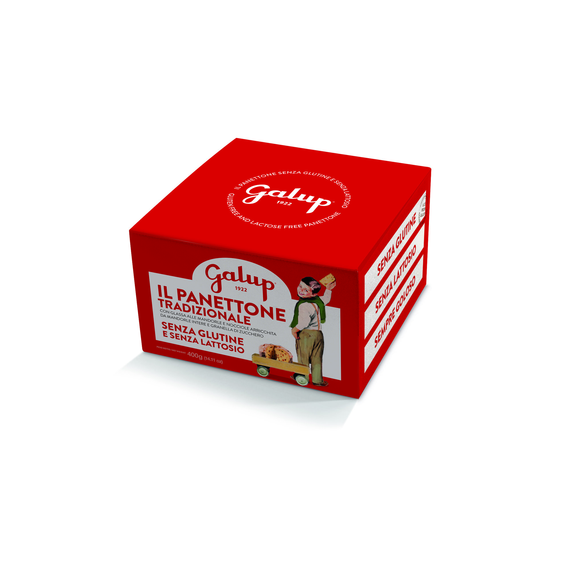 Panettone senza glutine e senza lattosio tradizionale