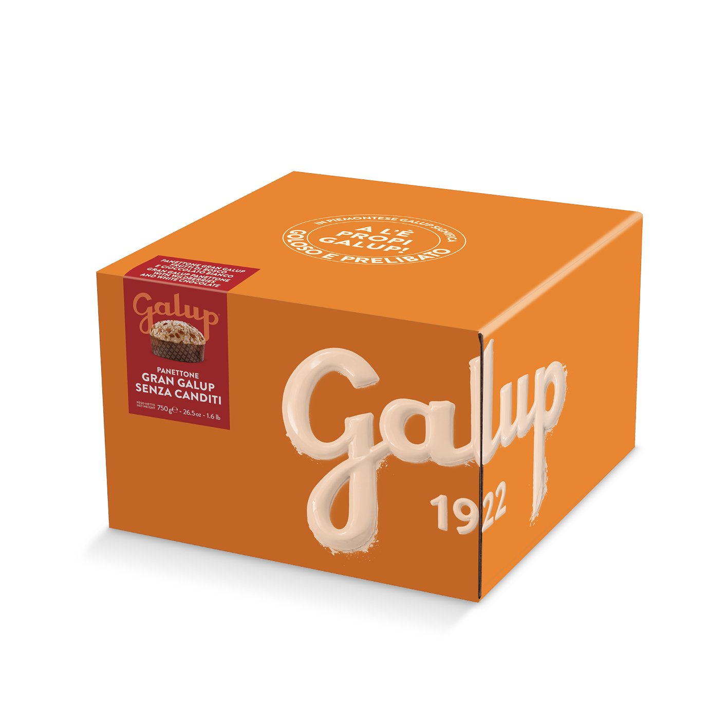 Panettone Gran Galup senza canditi