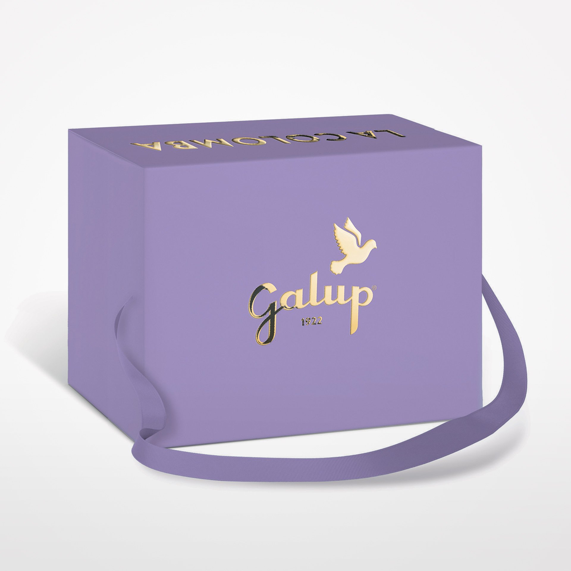 Colomba Galup Lampone e Cioccolato 750g