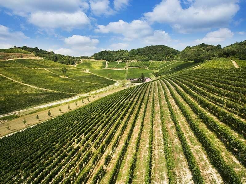 Cascina Vèngore Cascina Vèngore