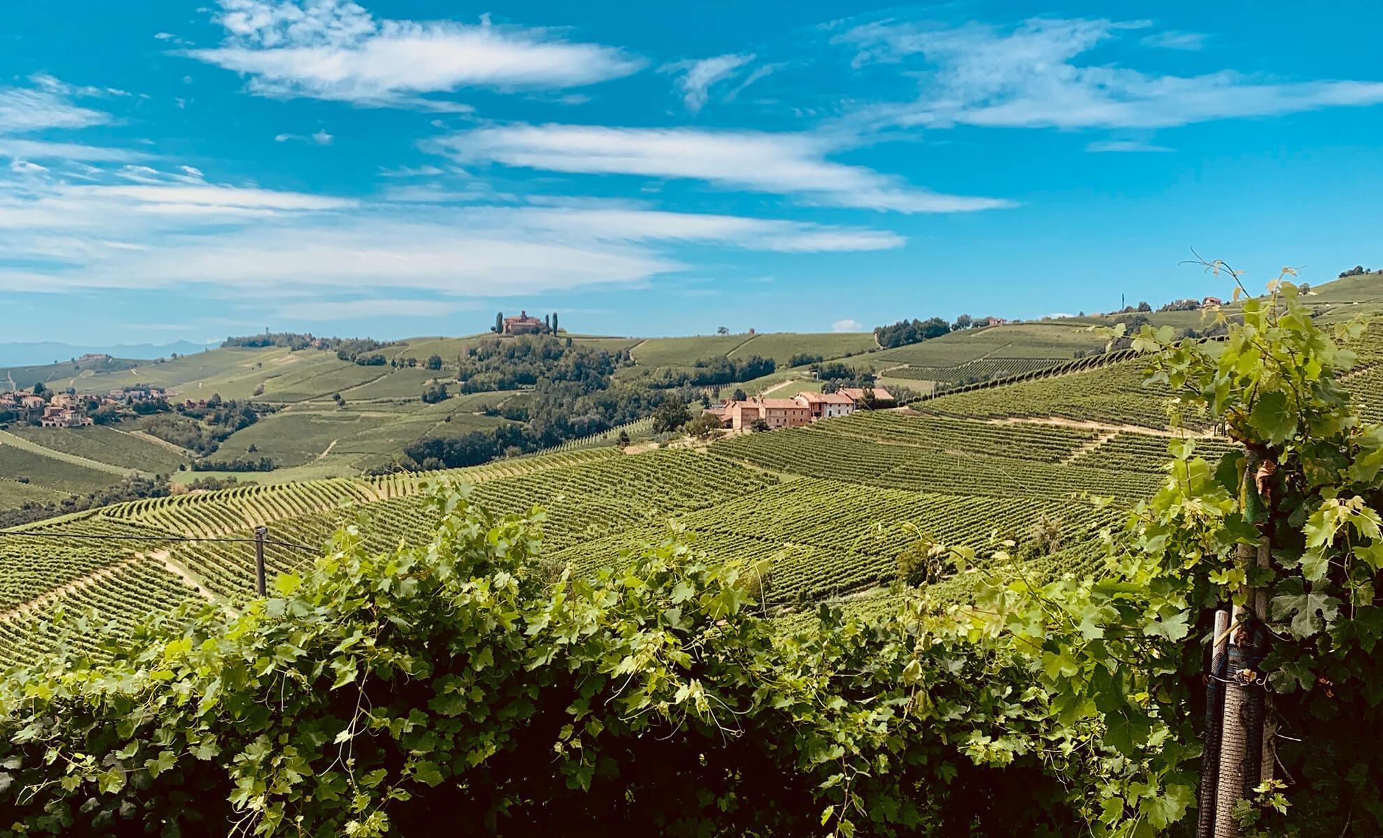 Institutions Institutions