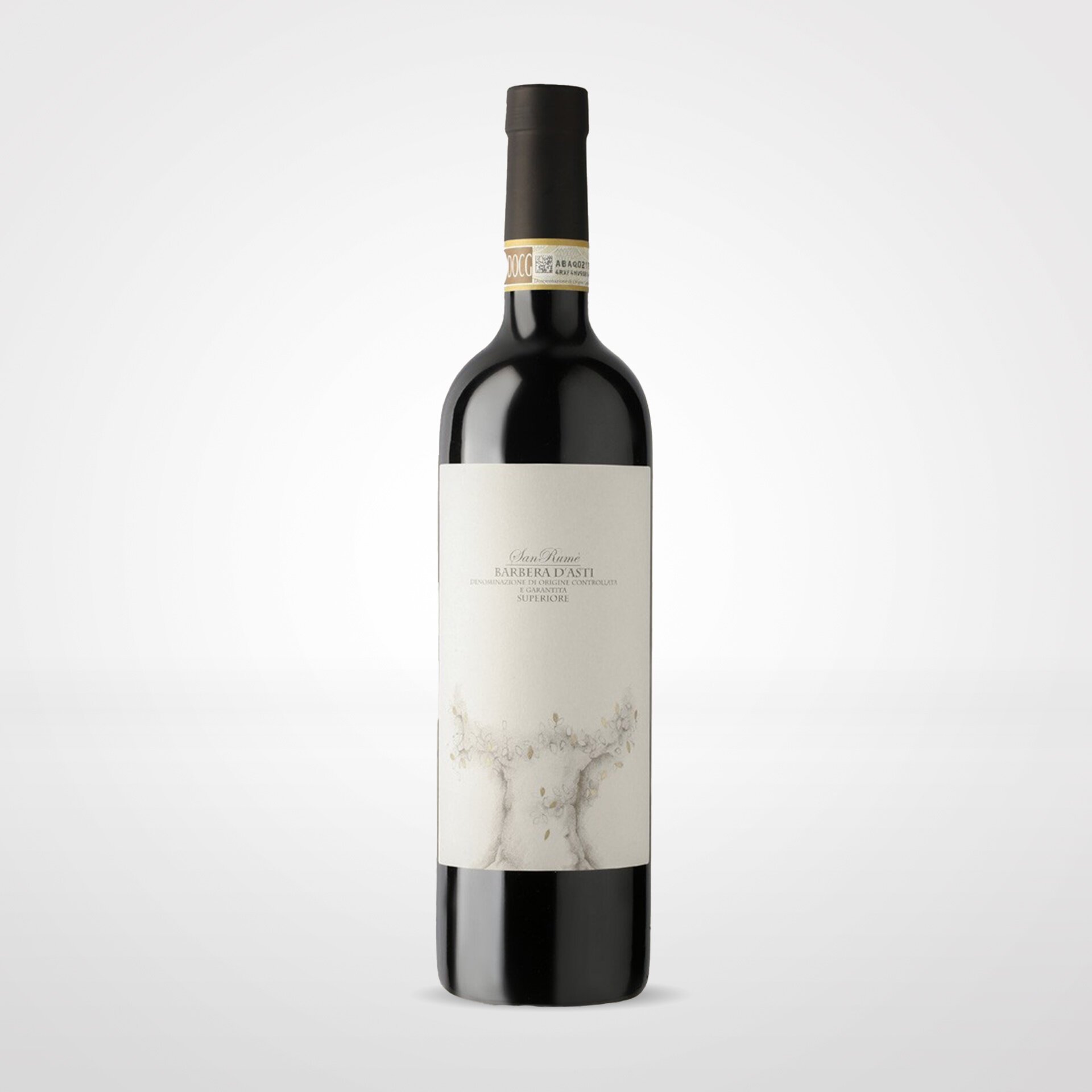 Barbera d'Asti Superior San Rumè 2021