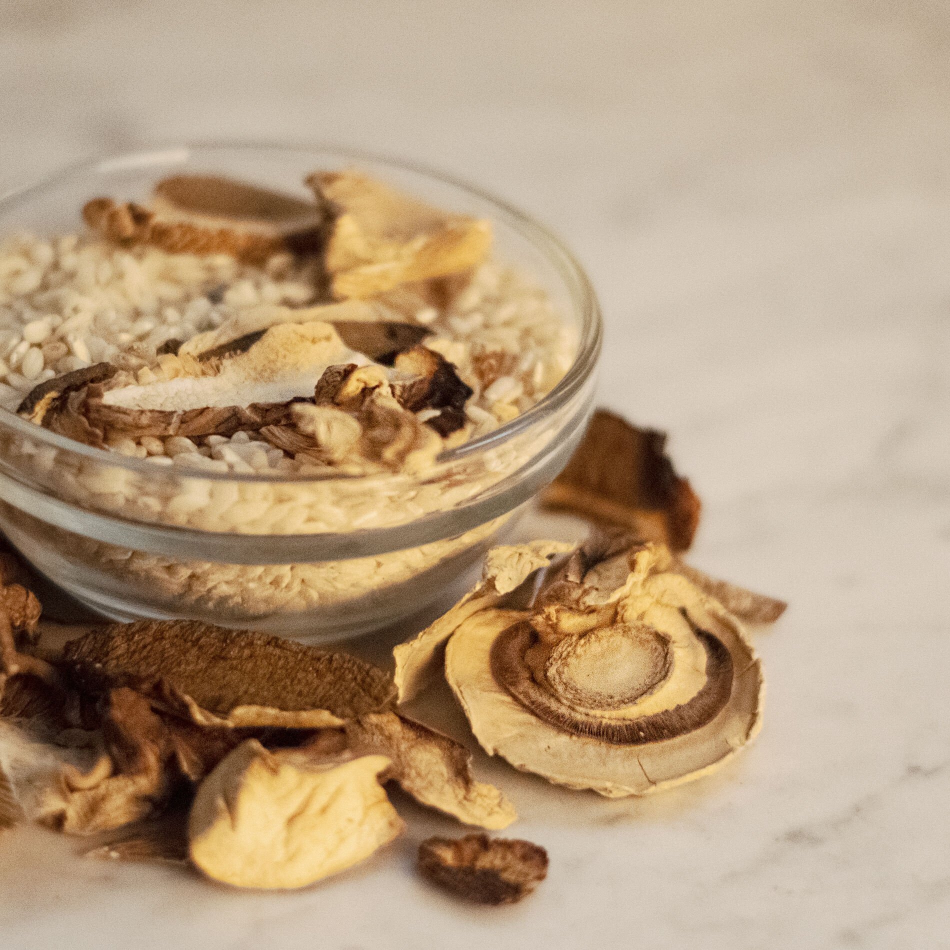 Dried Porcini Mushrooms "Special" in Bag