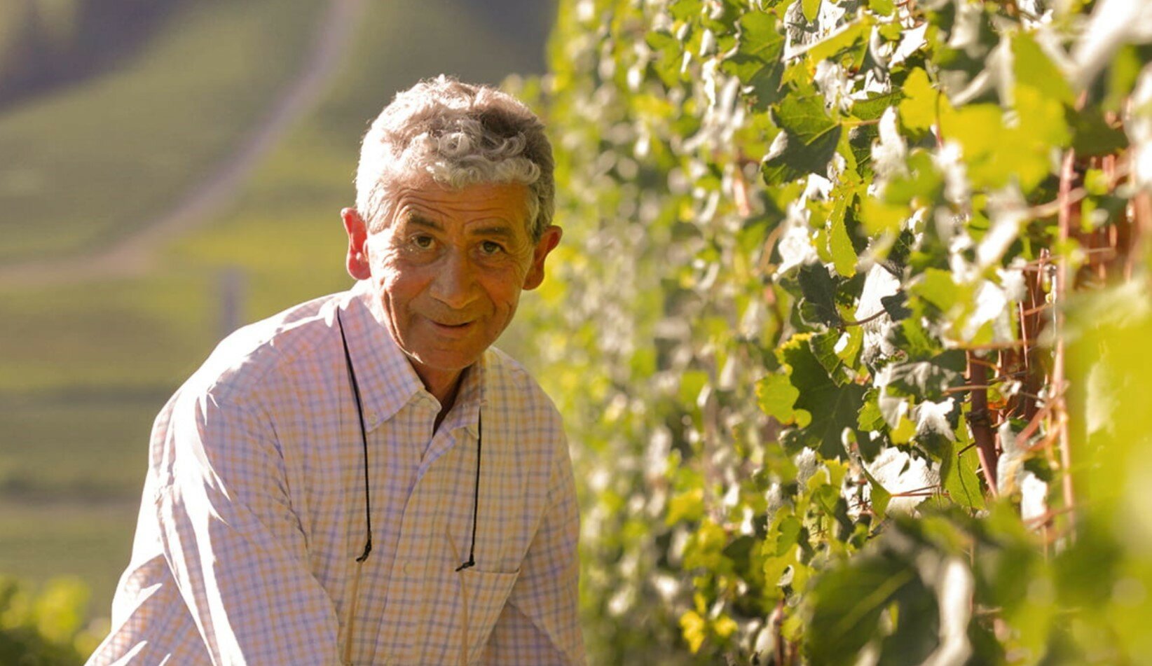 Domenico Clerico Domenico Clerico