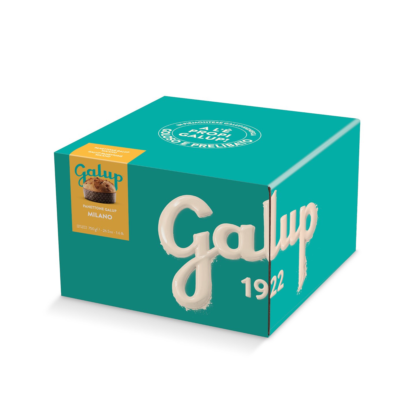 Panettone Galup Milano 750g