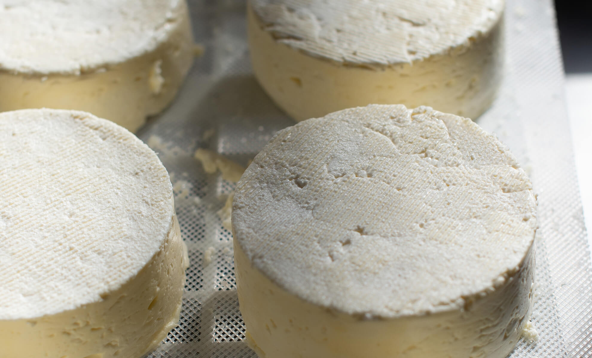 Frischkäse Frischkäse