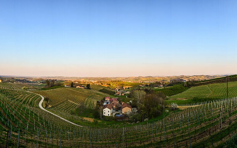 Regional wine cellar Colline Alfieri Regional wine cellar Colline Alfieri
