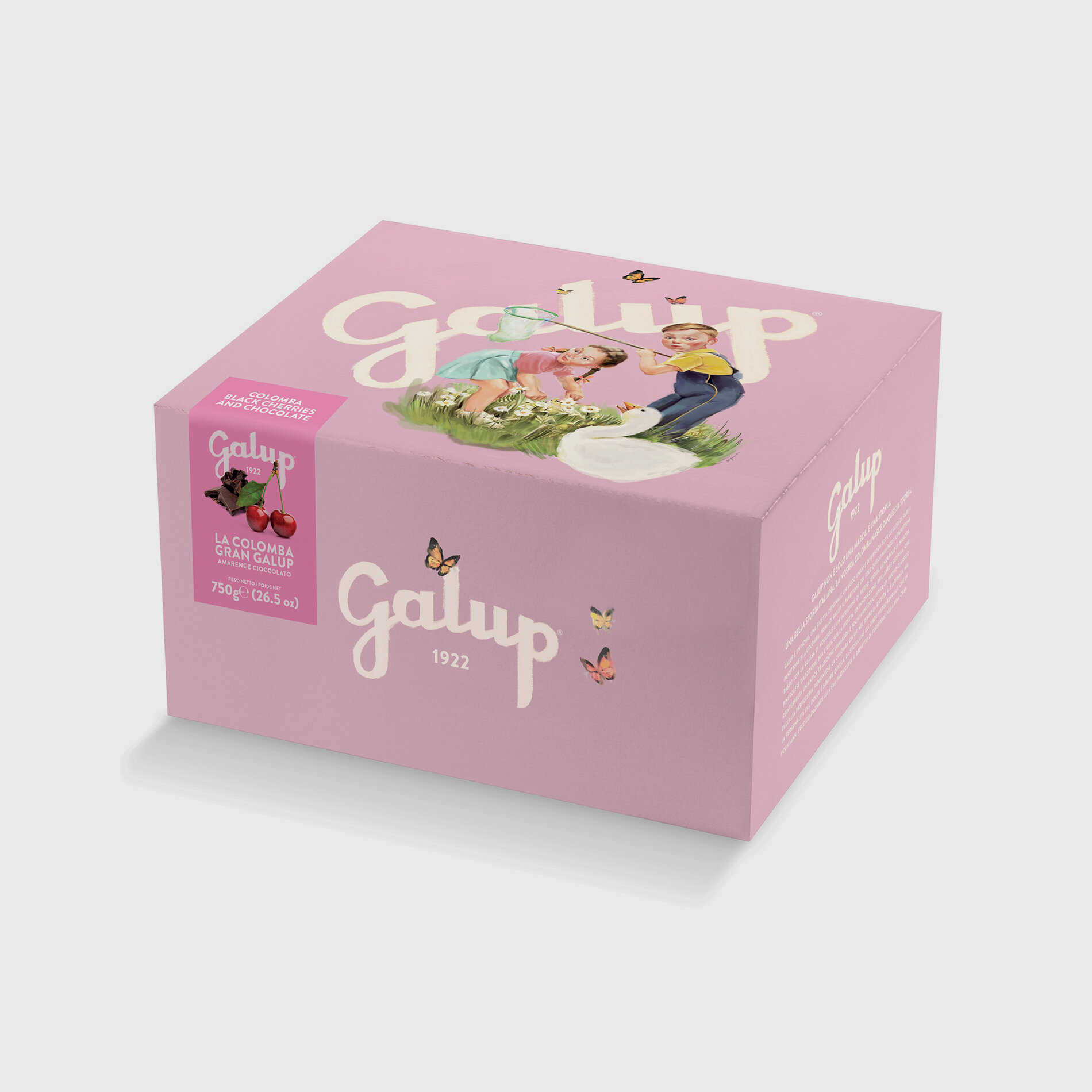 Colomba Amarene e Cioccolato