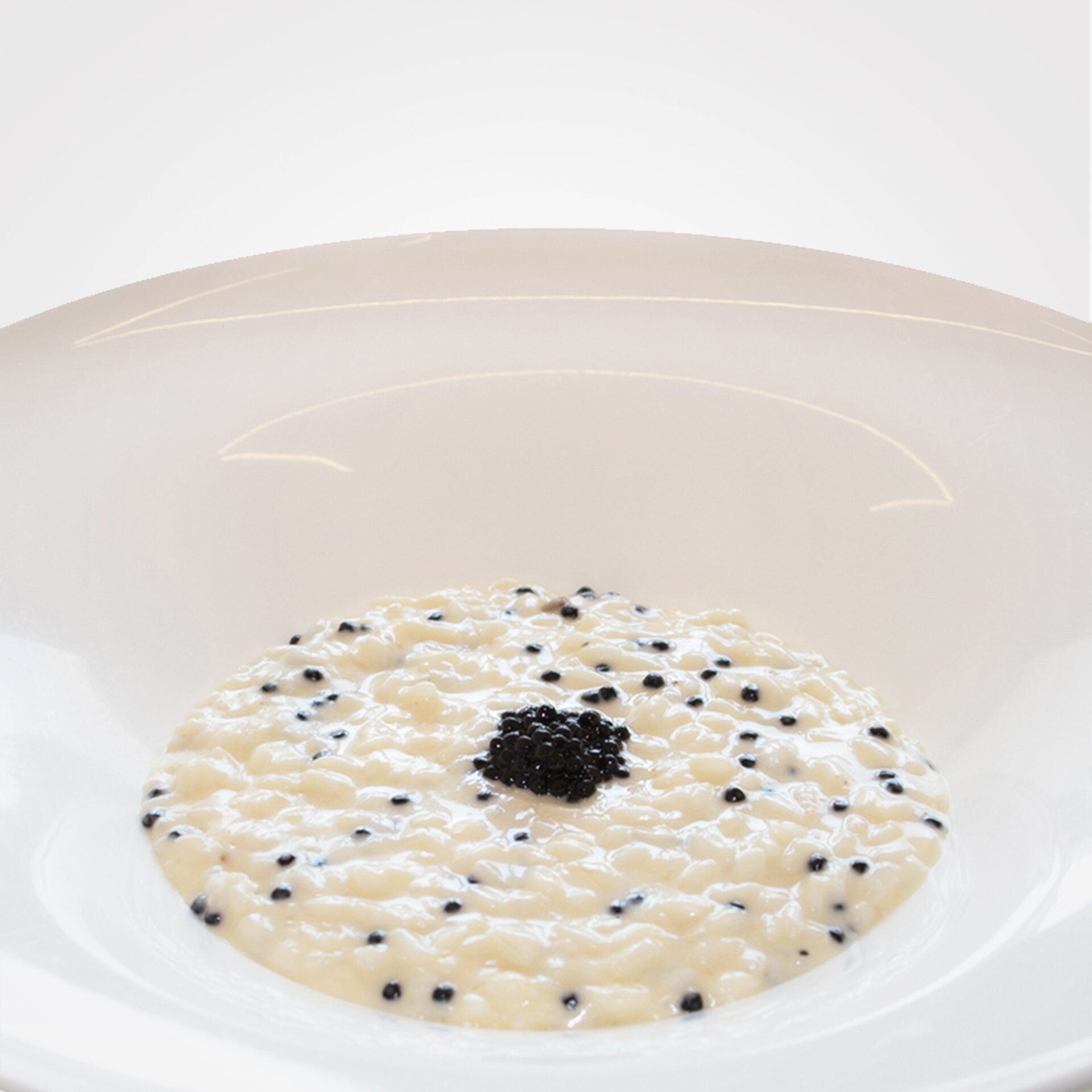 Sua Maestà Bianco Tartufo