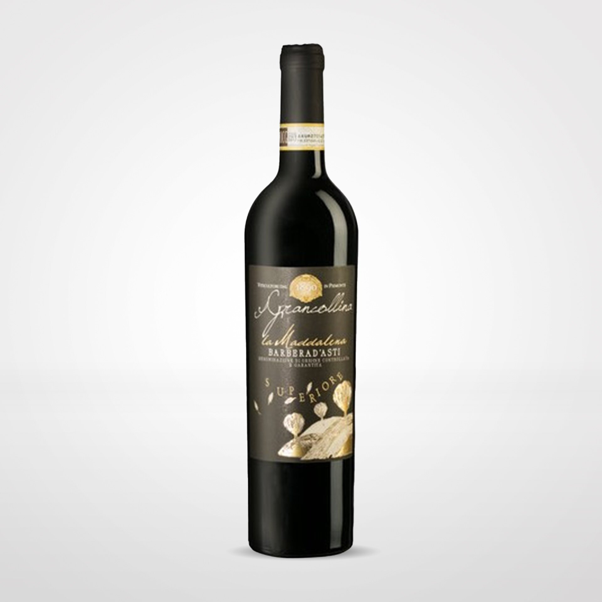 Barbera d'Asti Superiore La Maddalena 2019