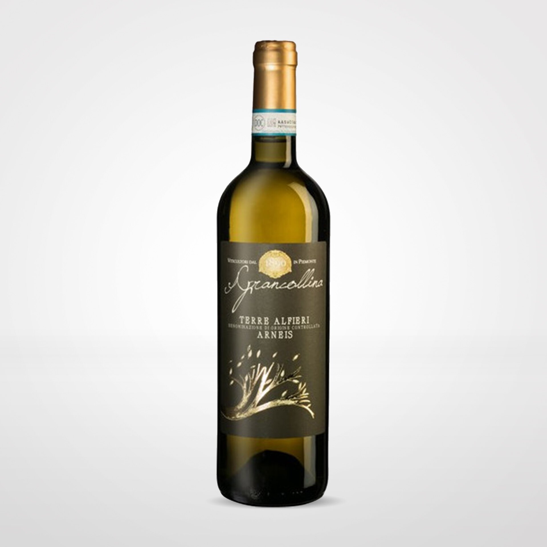 Terre Alfieri Arneis 2021 Terre Alfieri Arneis 2021
